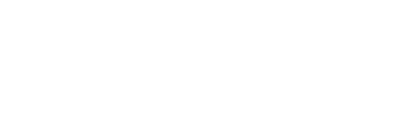Library Search