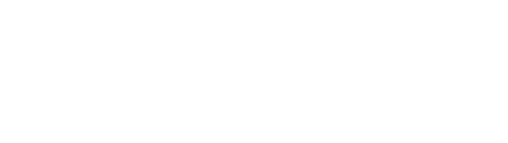 bgsu logo in white on background of orange