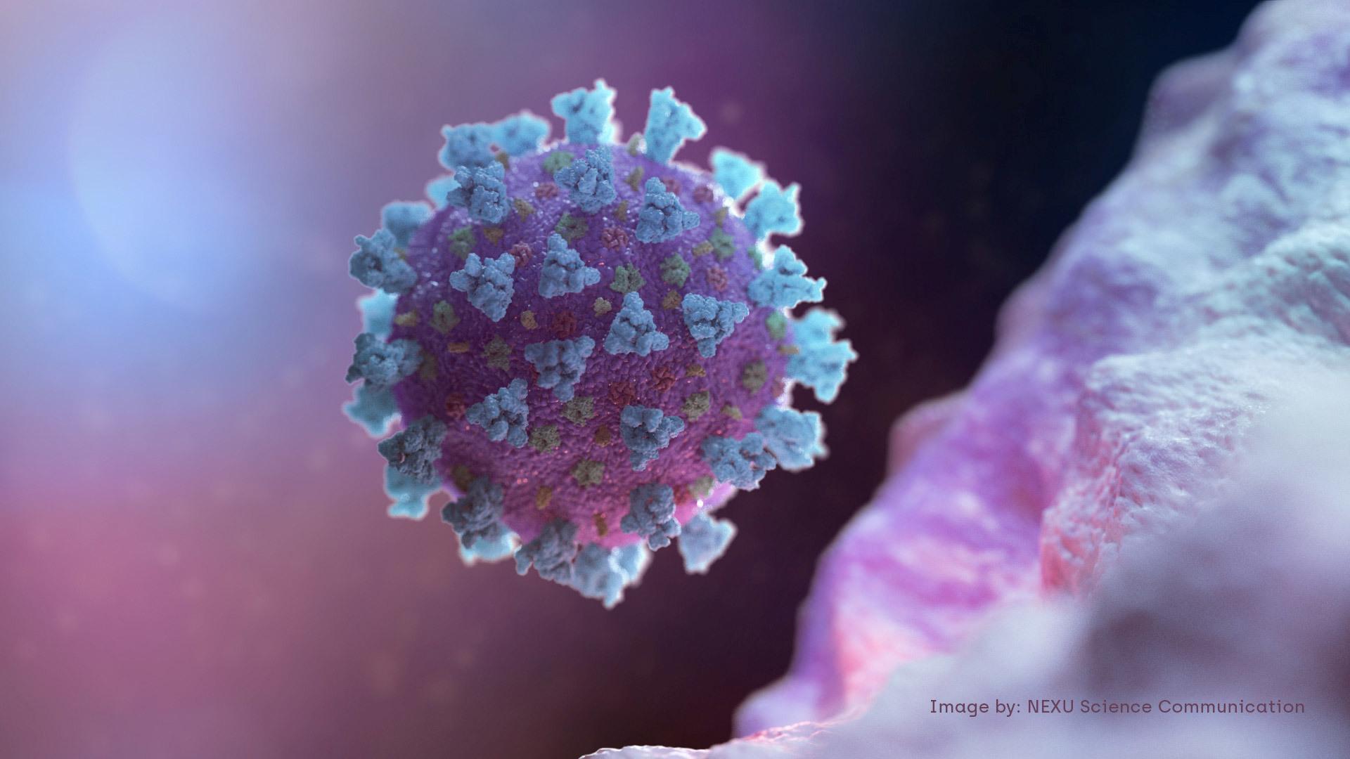 novel coronavirus cell photo by Nexu Science Communications