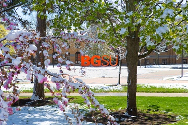 Trees covered in snow with BGSU sign in background