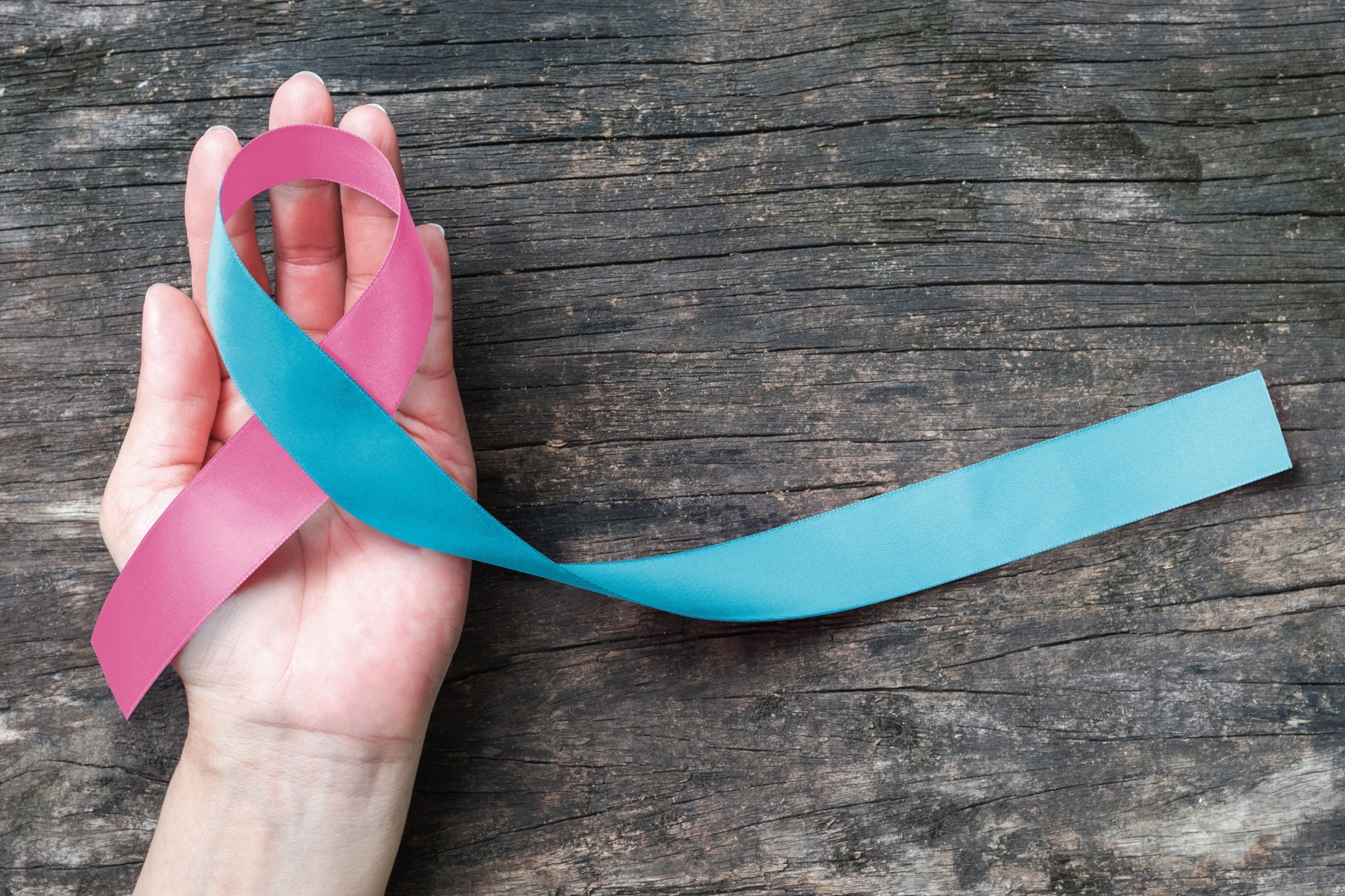 Pink blue ribbon awareness (isolated with clipping path) on helping hand for SID Birth defect illness to end obstetric fistula 