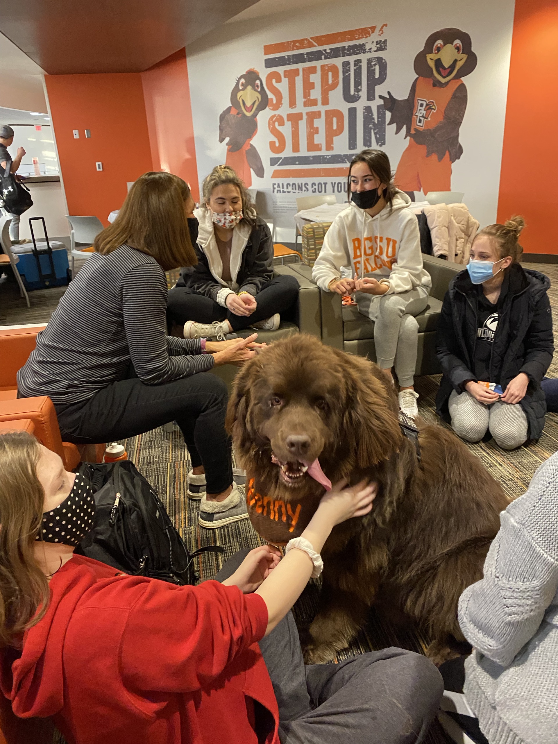 enny, the Newfoundland therapy dog, and his owner Carol (a BGSU swimming alumnae) enjoy greeting students at the Student Recreation Center.