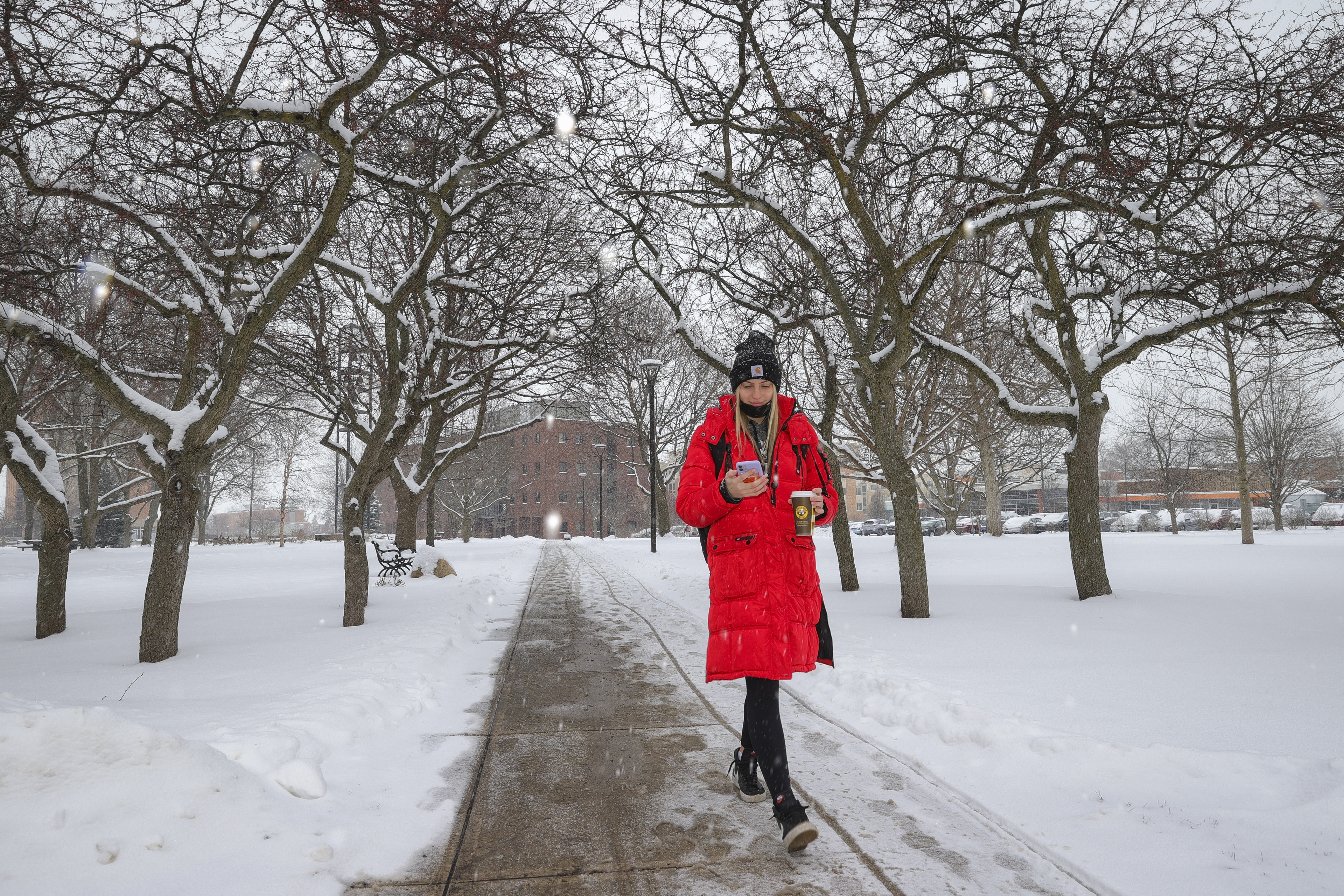 A student walking down a snowy path on campus while checking her phone