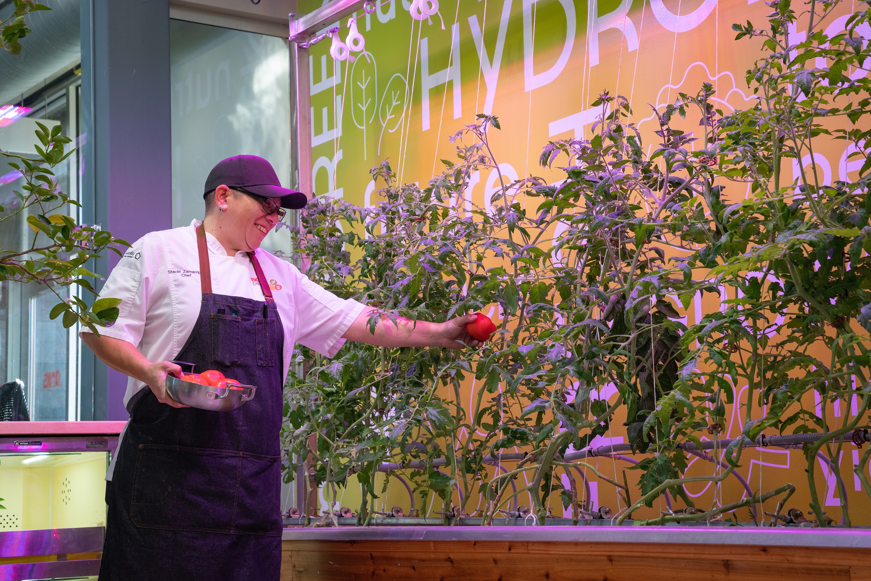 Stacie Zamarripa picking a tomato grown in the hydroponics systems