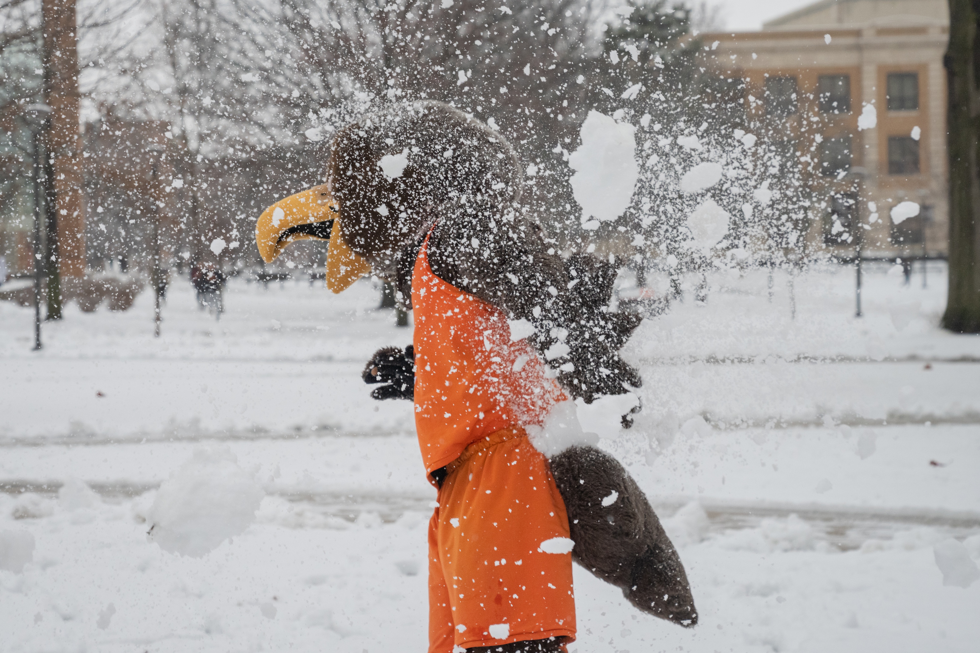 BGSU mascot Freddie Falcon gets hit by a snowball