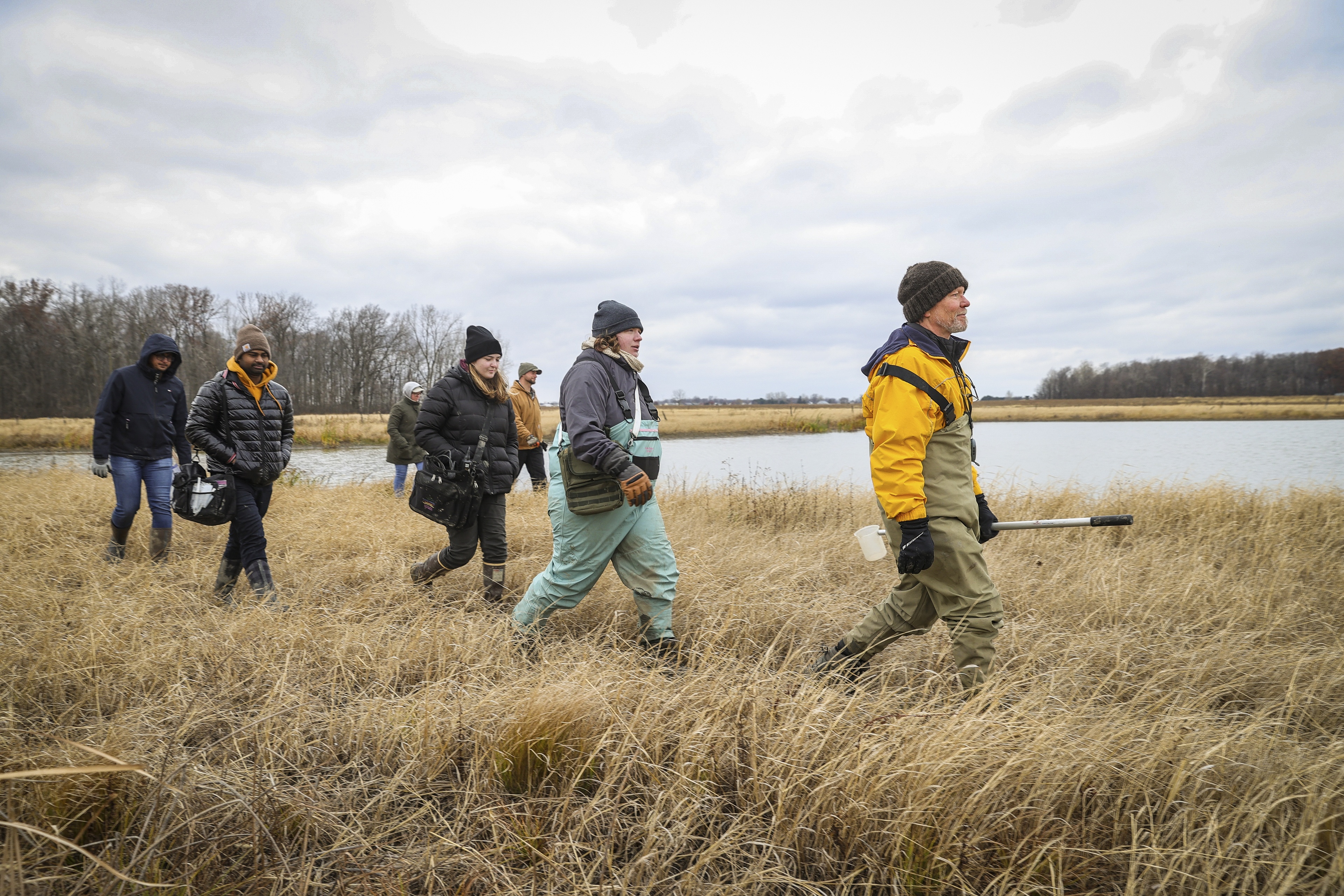 BGSU professors and students research wetlands at Oakwood Nature Preserve 