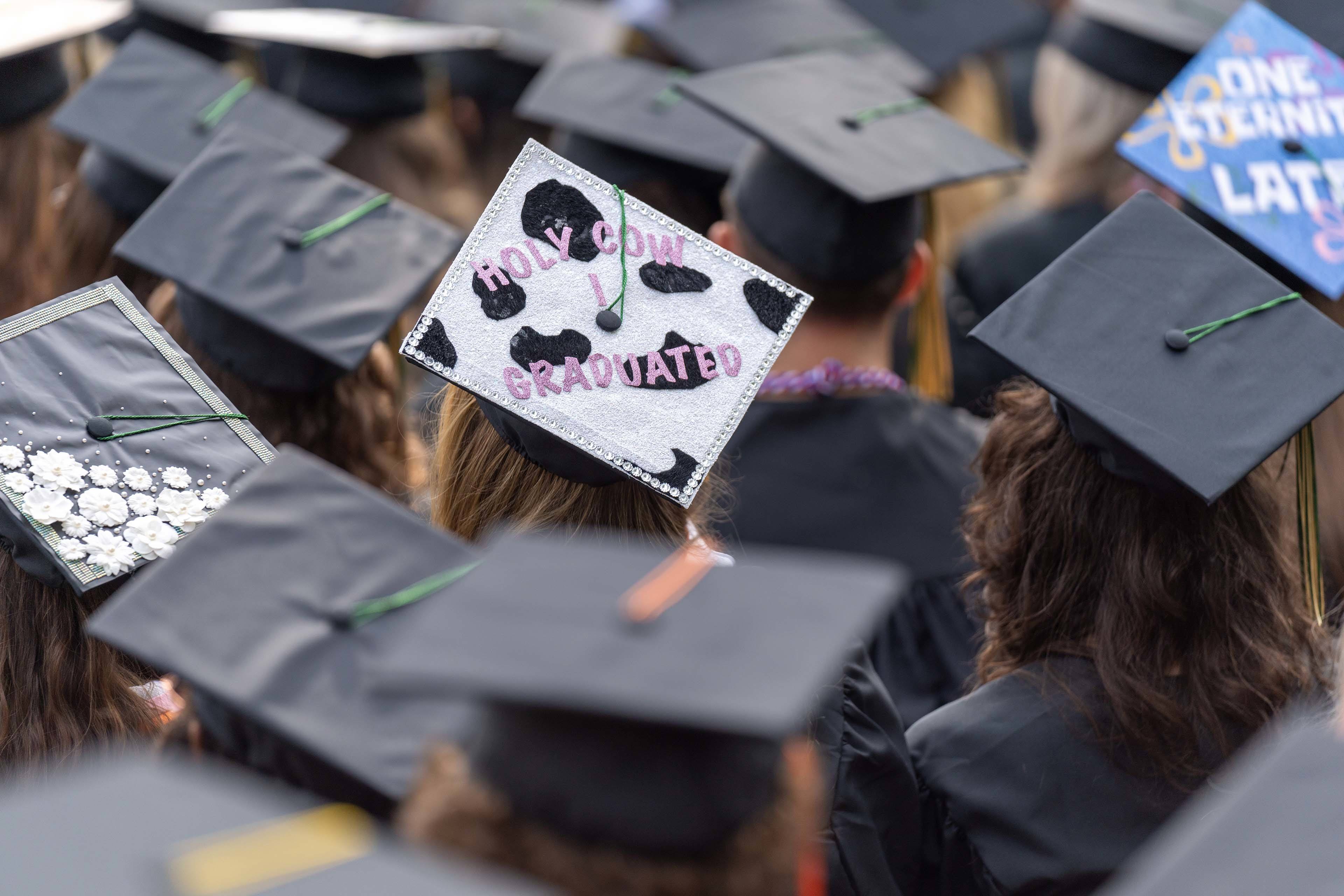 Graduation cap says “Holy cow, I graduated”