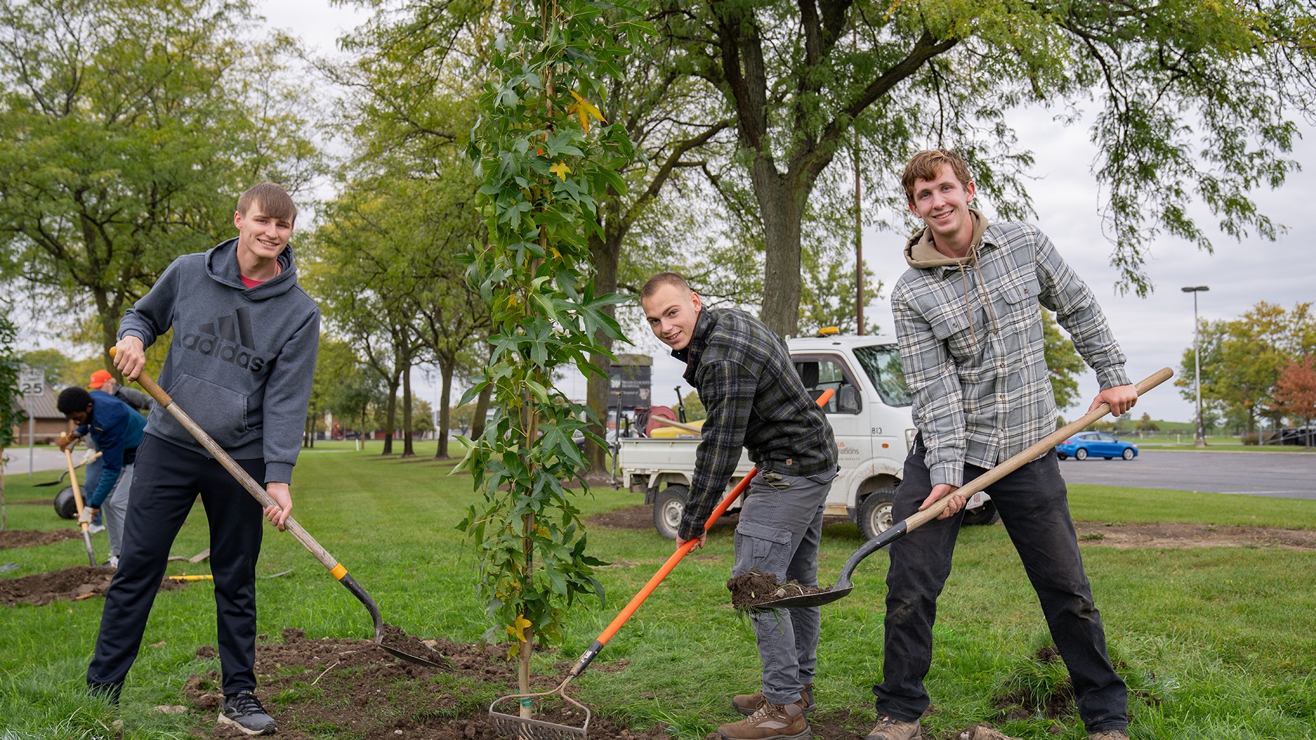 Three men with shovels and a rake stand near a newly planted tree.