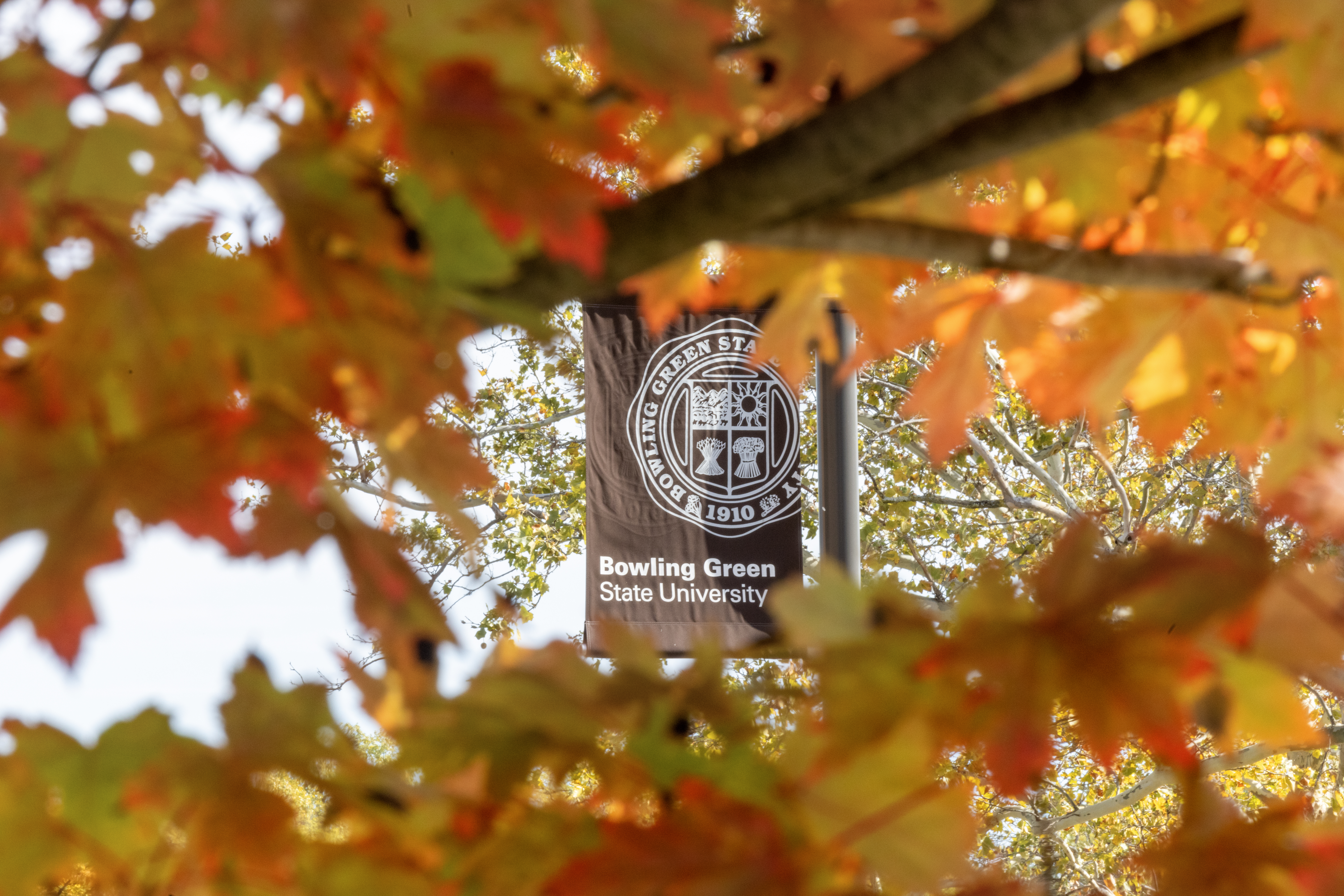 A brown BGSU University Seal banner is pictured through trees with autumn leaves