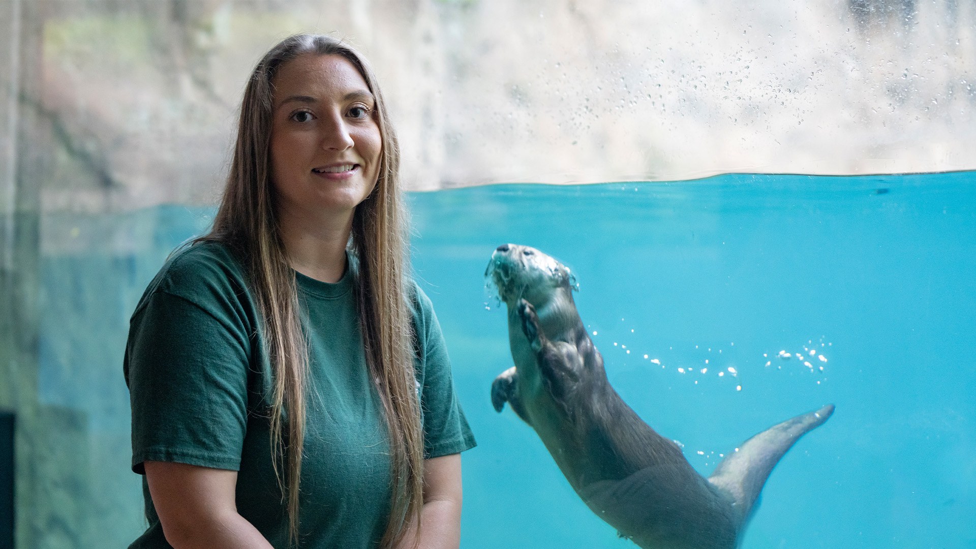 BGSU alumna Molly Beattie kneels near the otter tank, as an otter swims up to her. 
