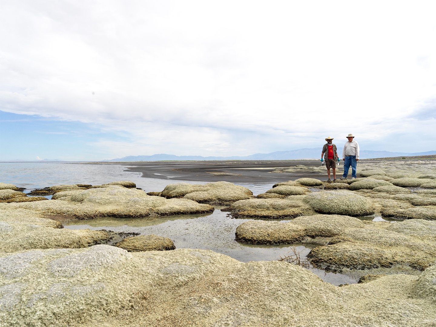 With the Great Salt Lake and mountains behind them, Dr. James Metcalf and Dr. Paul Alan Cox stand on greenish mounds of cyanobacteria.
