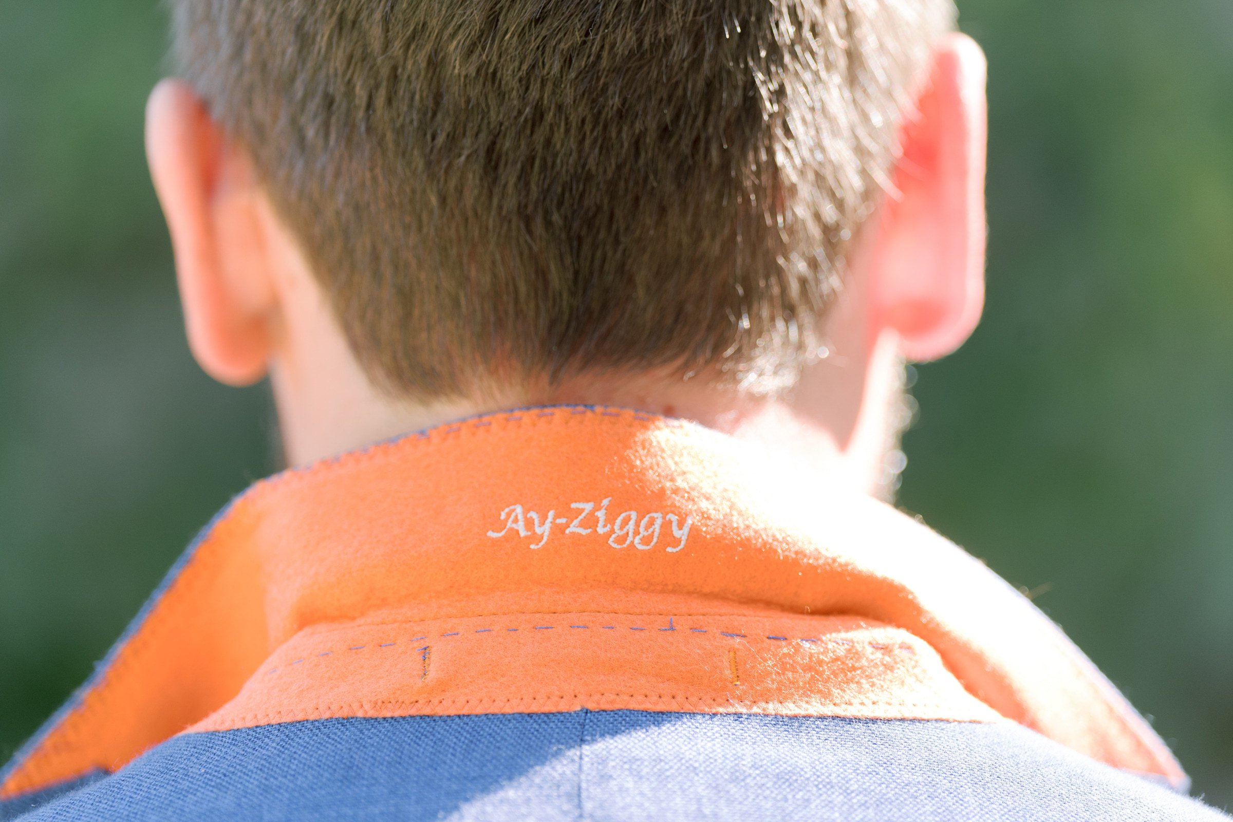 An orange collar with the words "Ay Ziggy" embroidered in white.