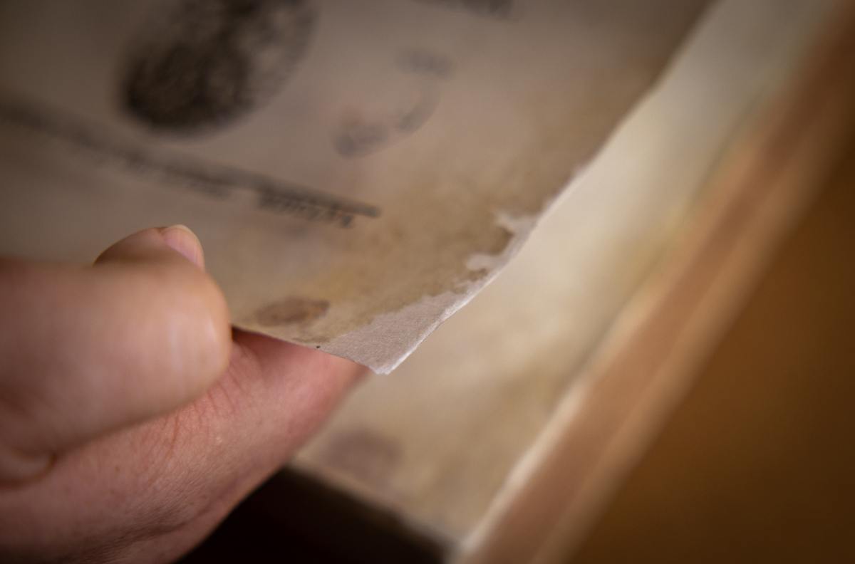 A corner of a page is held up showcasing recent restoration