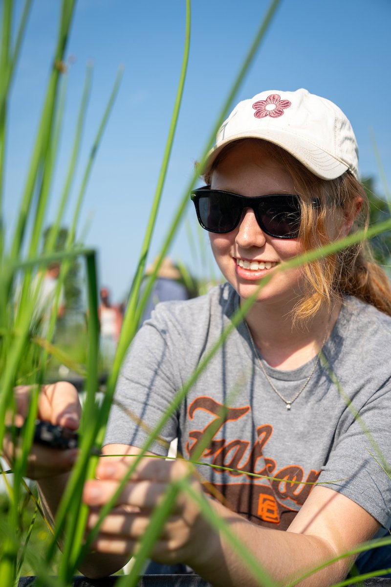 A student takes measurements of a plant.