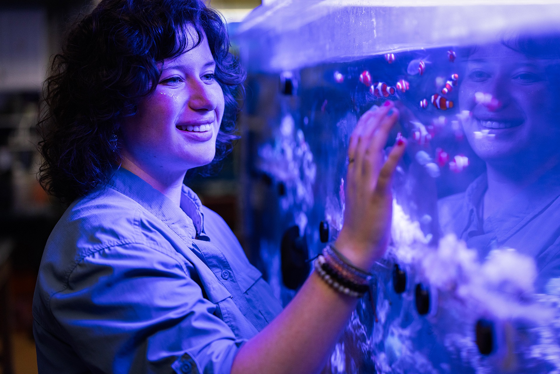 A person looks into an aquarium.