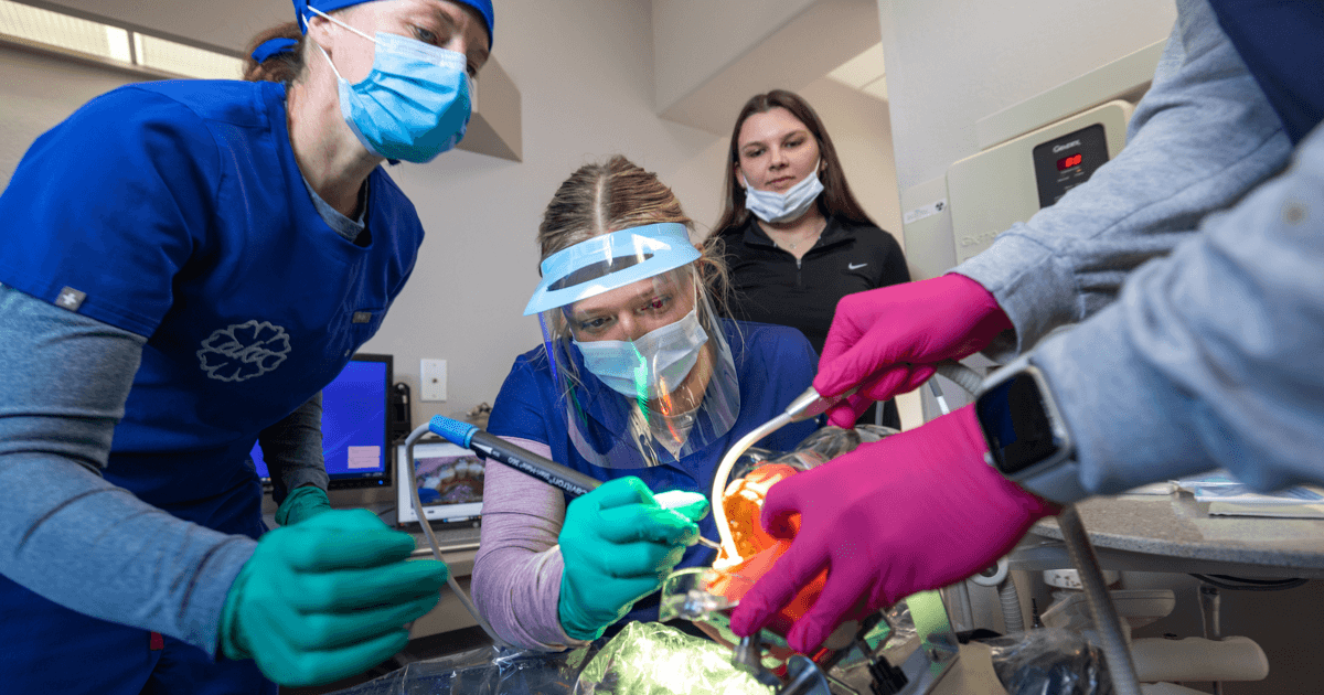 Advising, shadowing and support: How BGSU prepares pre-dental students for dental school admission