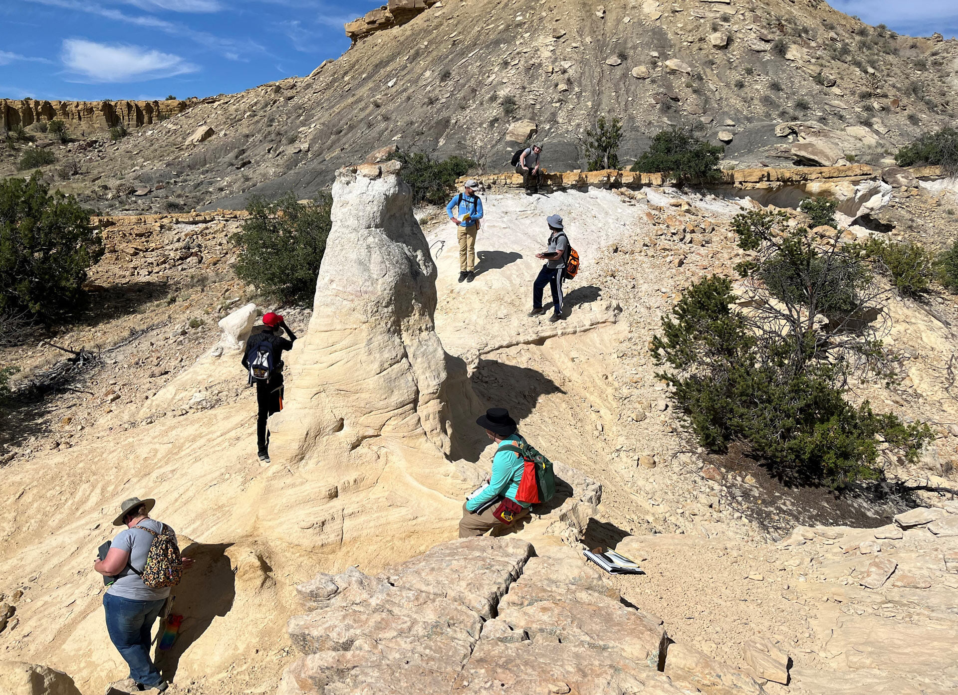 Geology students look at rocks in a mountainous landscape.﻿