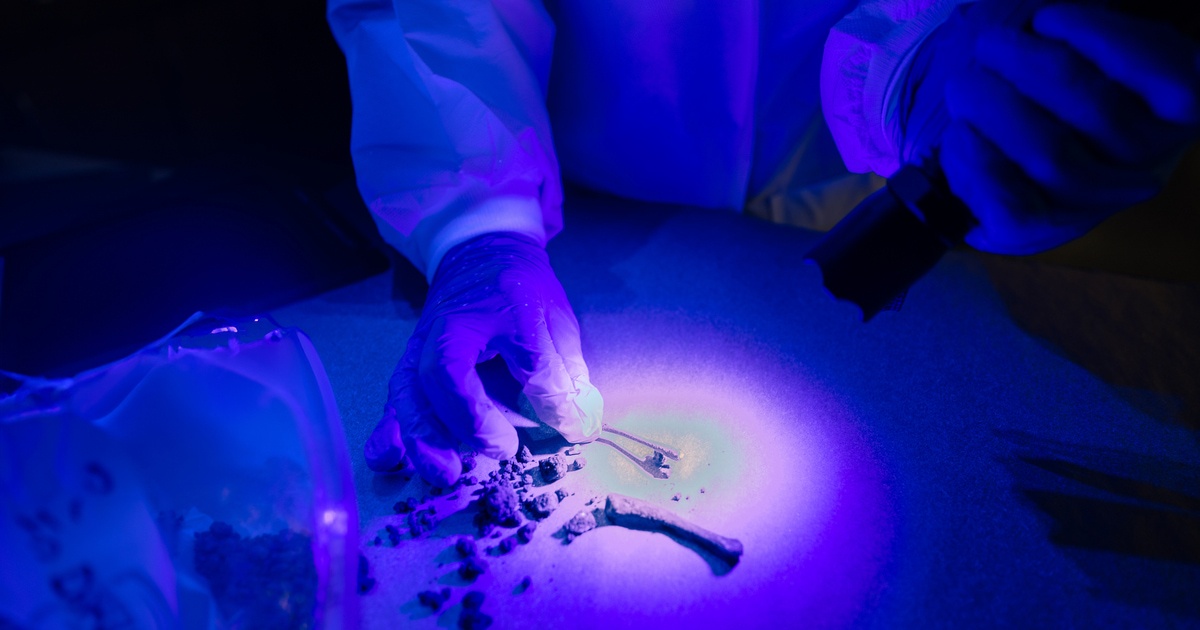 Is a forensic science degree right for you?