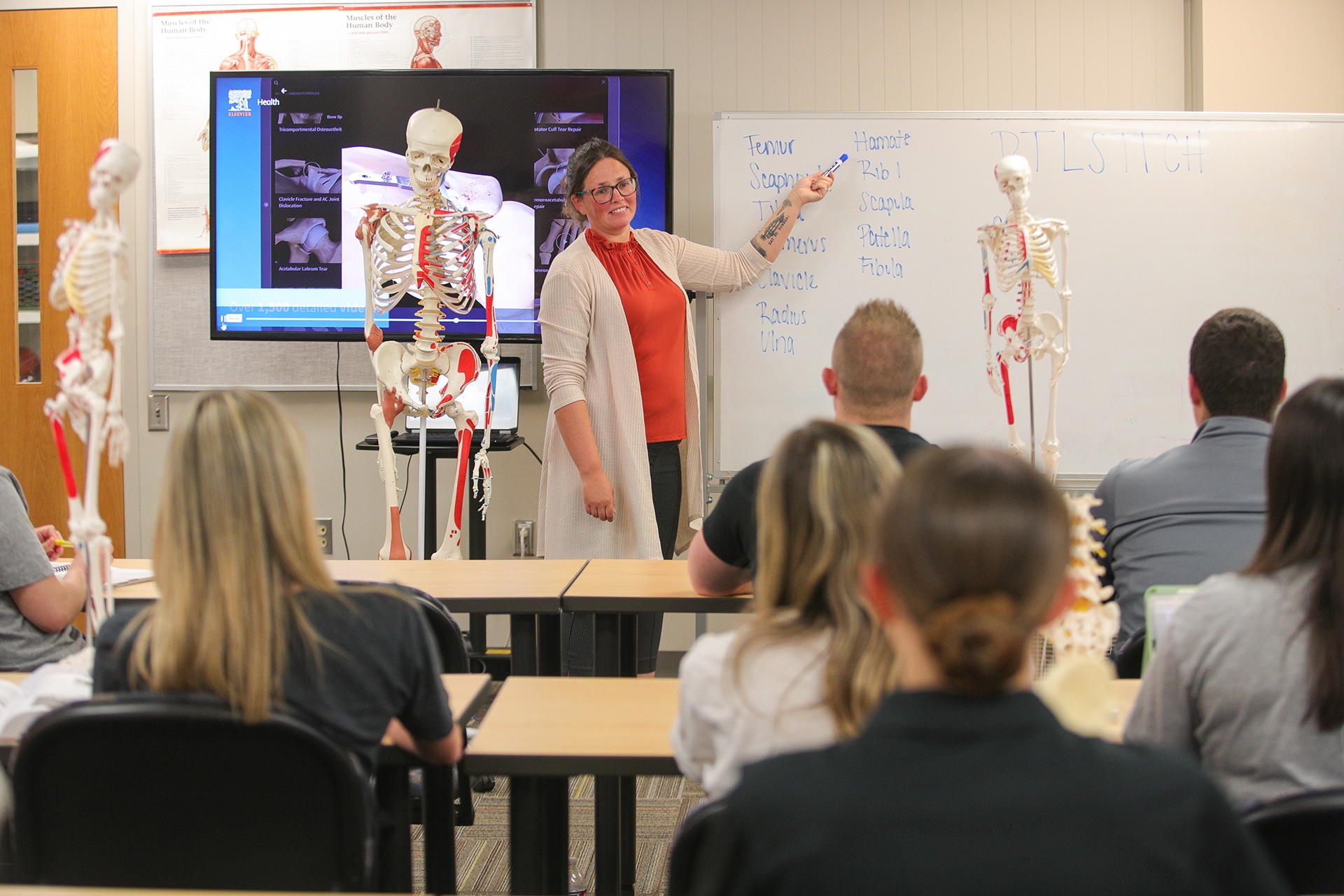 An athletic training professor leads a lecture in a classroom.