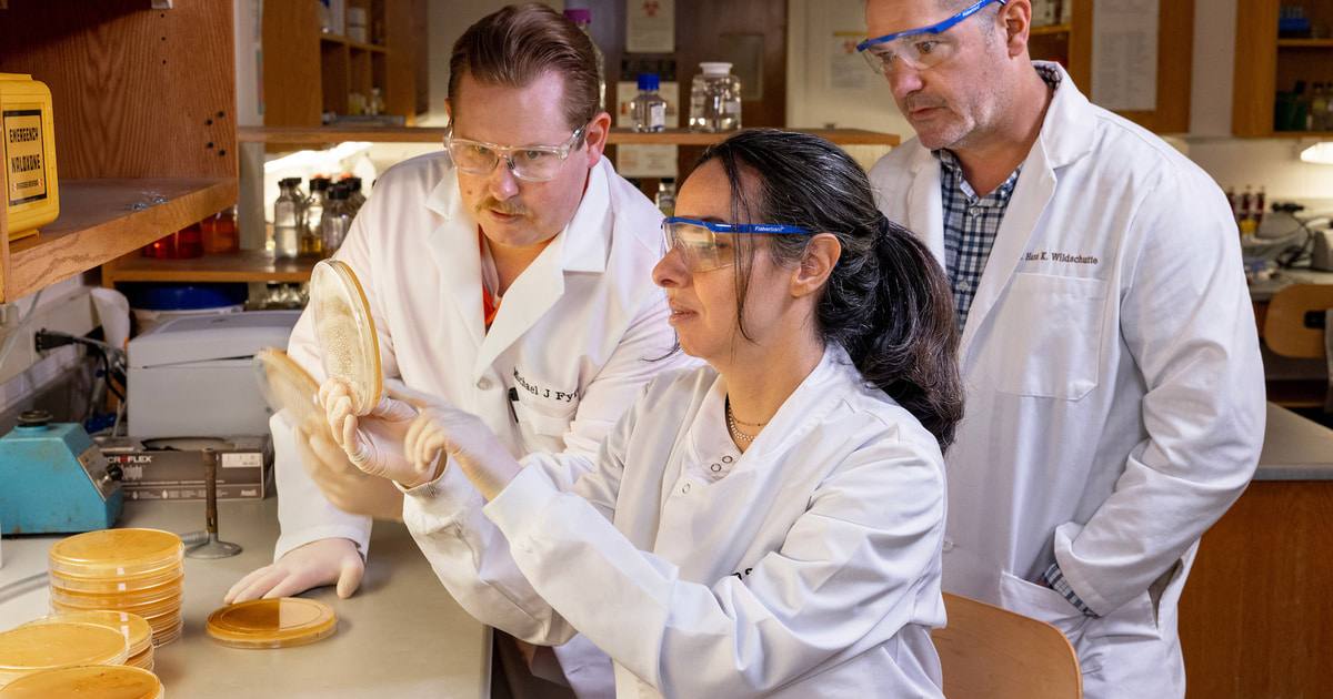 BGSU scientists make startling discovery – and find a possible new ally – in the opioid crisis