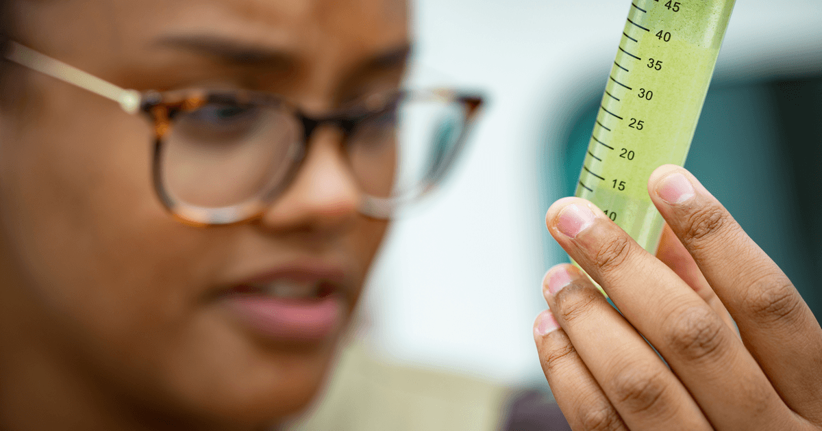 Innovative pilot program at BGSU brings Great Lakes research to new disciplines