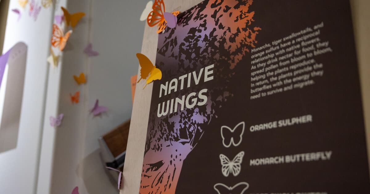 Recent BGSU alums earn gold in national design competition