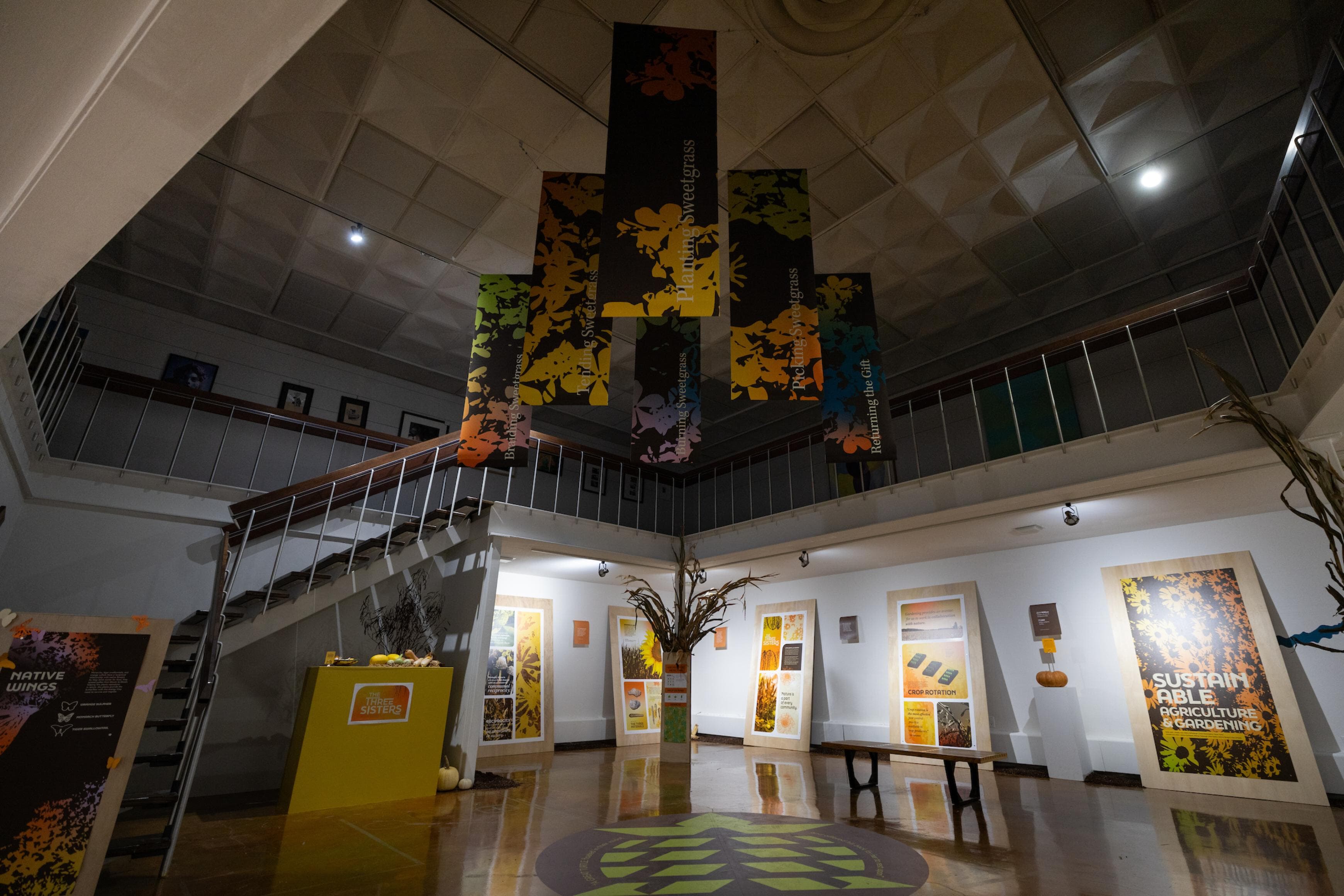 In the Roots: Ohio's Native Plants exhibit at BGSU