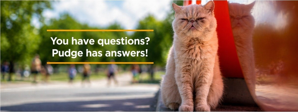 pudge-image-faq