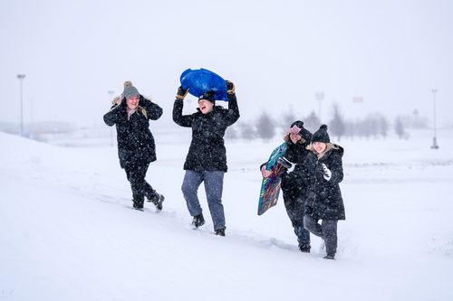 Four students sledding