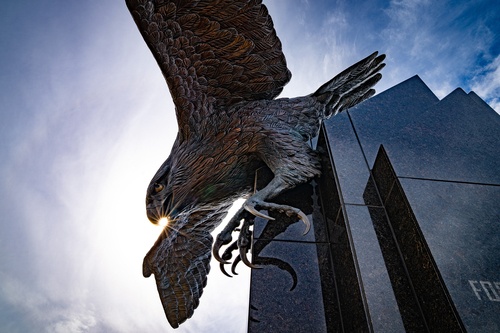 Falcon statue