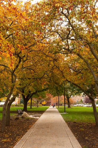 Tree-lined path to East Hall with fall colors