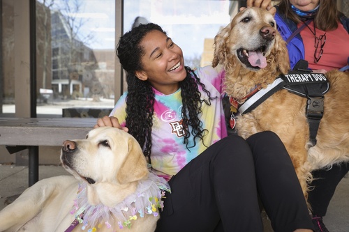 Student petting two therapy dogs outside Education Building