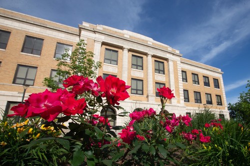 flowers blooming in front of Hayes Hall
