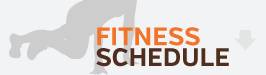 fitness schedule