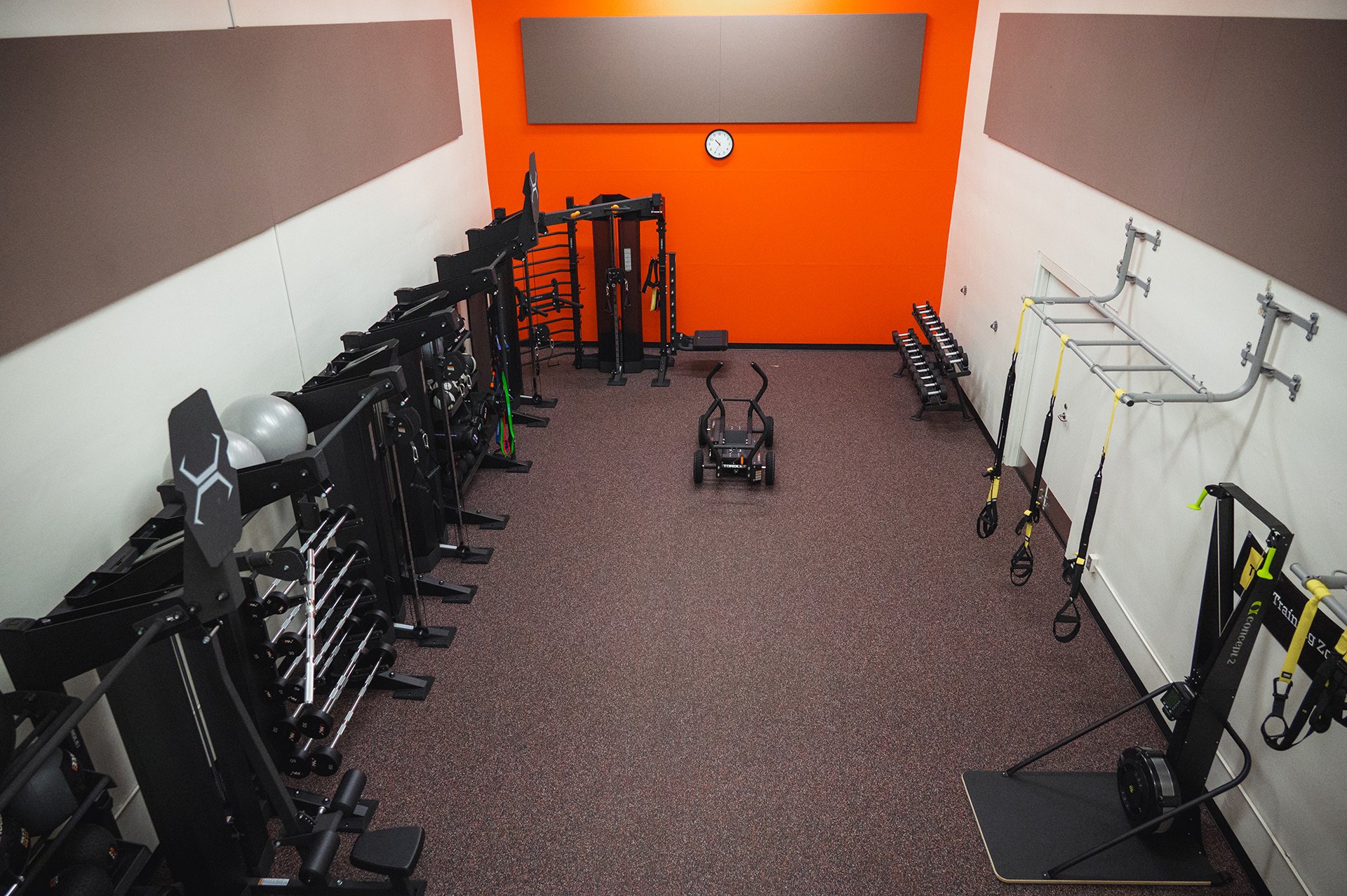 Functional training zone with TRX, free weights, and cable machines