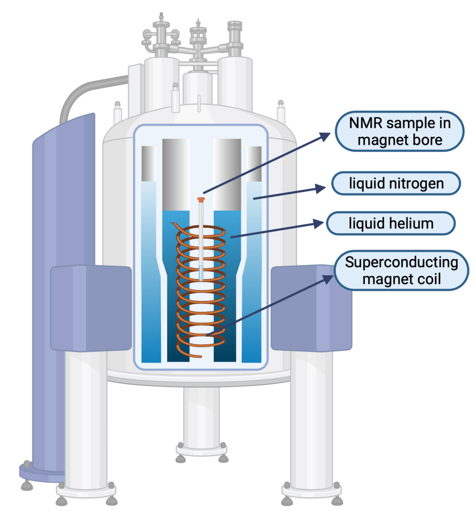nmr-cross-section-937x1024