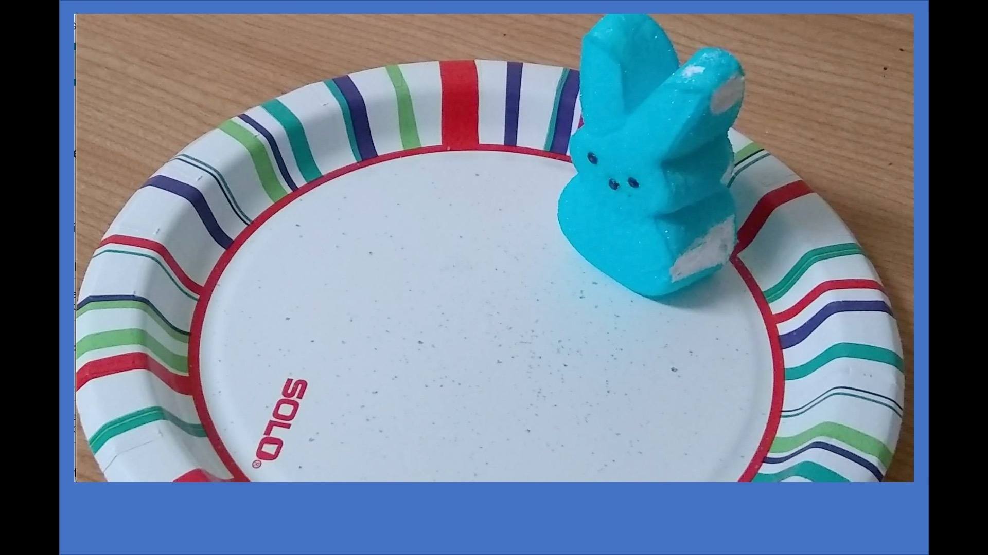 Photo of a blue marshmallow bunny candy on striped paper plate