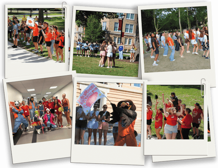 summer-link-collage-25-26